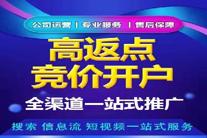 SEO百度推广策略：成功案例解析